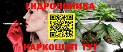 mix Кингисепп