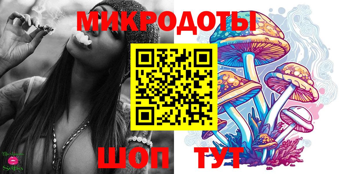 Псилоцибиновые грибы Psilocybine cubensis Кирово-Чепецк