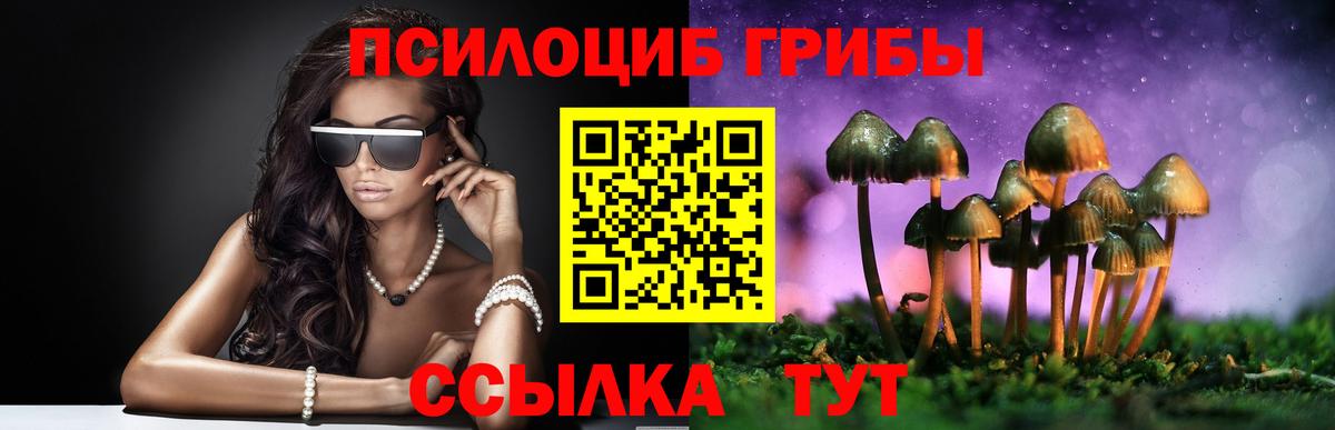 Кирово-Чепецк  Псилоцибиновые грибы прущие грибы  Псилоцибиновые грибы Psilocybine cubensis  Вход с VPN 